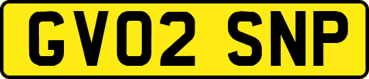 GV02SNP