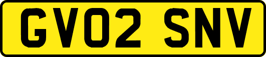 GV02SNV