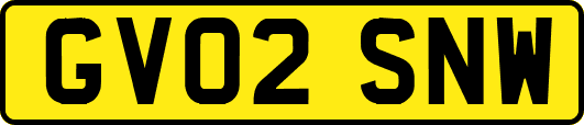 GV02SNW
