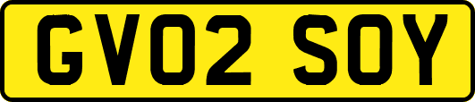 GV02SOY