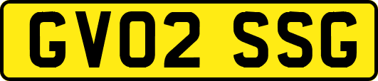 GV02SSG