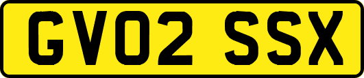 GV02SSX
