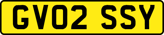 GV02SSY