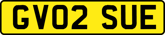 GV02SUE