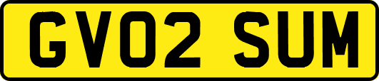 GV02SUM
