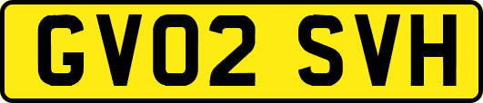 GV02SVH