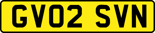 GV02SVN