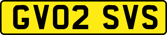GV02SVS