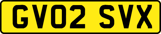 GV02SVX