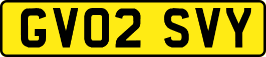 GV02SVY