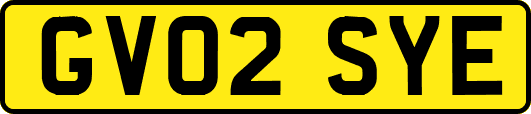 GV02SYE