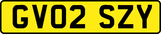 GV02SZY