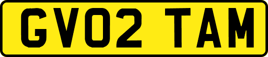 GV02TAM