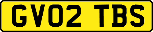 GV02TBS
