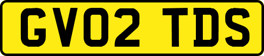 GV02TDS