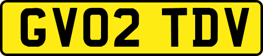 GV02TDV