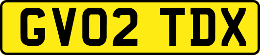 GV02TDX