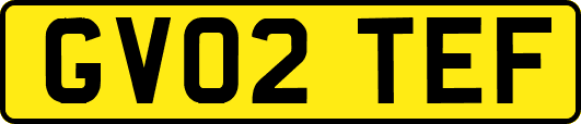 GV02TEF