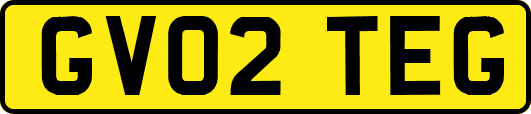 GV02TEG