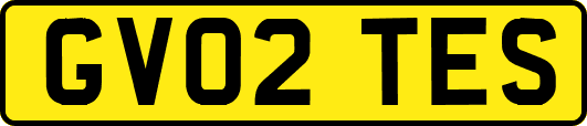 GV02TES
