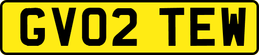 GV02TEW