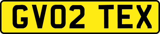 GV02TEX