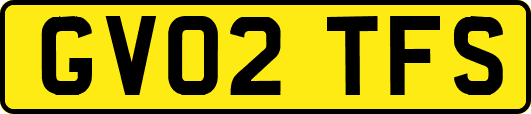 GV02TFS