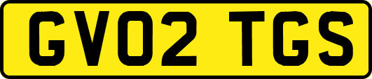 GV02TGS
