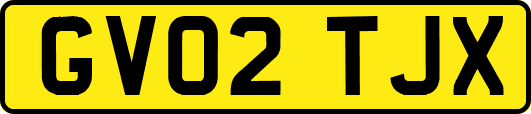 GV02TJX
