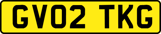 GV02TKG