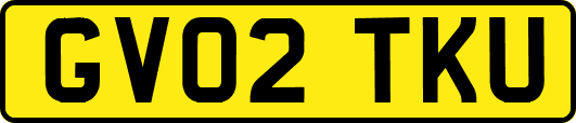 GV02TKU