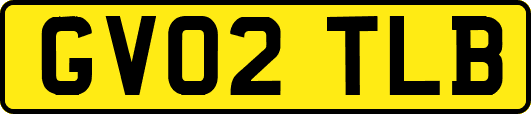 GV02TLB