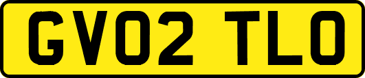 GV02TLO
