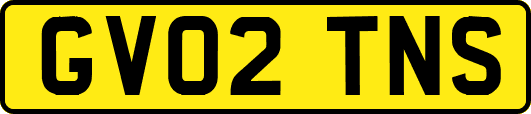 GV02TNS
