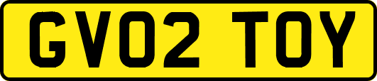 GV02TOY