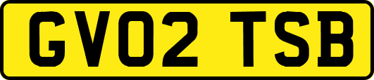 GV02TSB