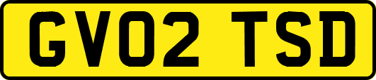 GV02TSD