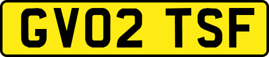 GV02TSF