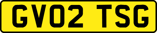 GV02TSG