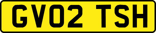 GV02TSH