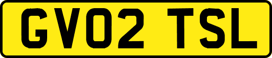 GV02TSL