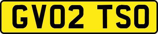 GV02TSO