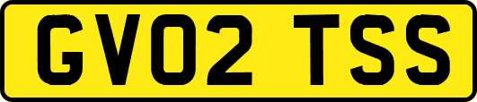 GV02TSS