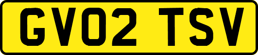 GV02TSV