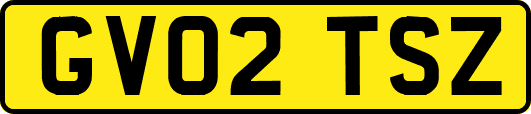 GV02TSZ
