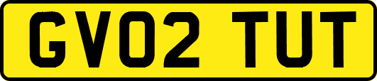 GV02TUT
