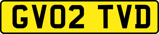 GV02TVD