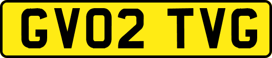 GV02TVG