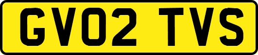 GV02TVS
