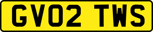 GV02TWS